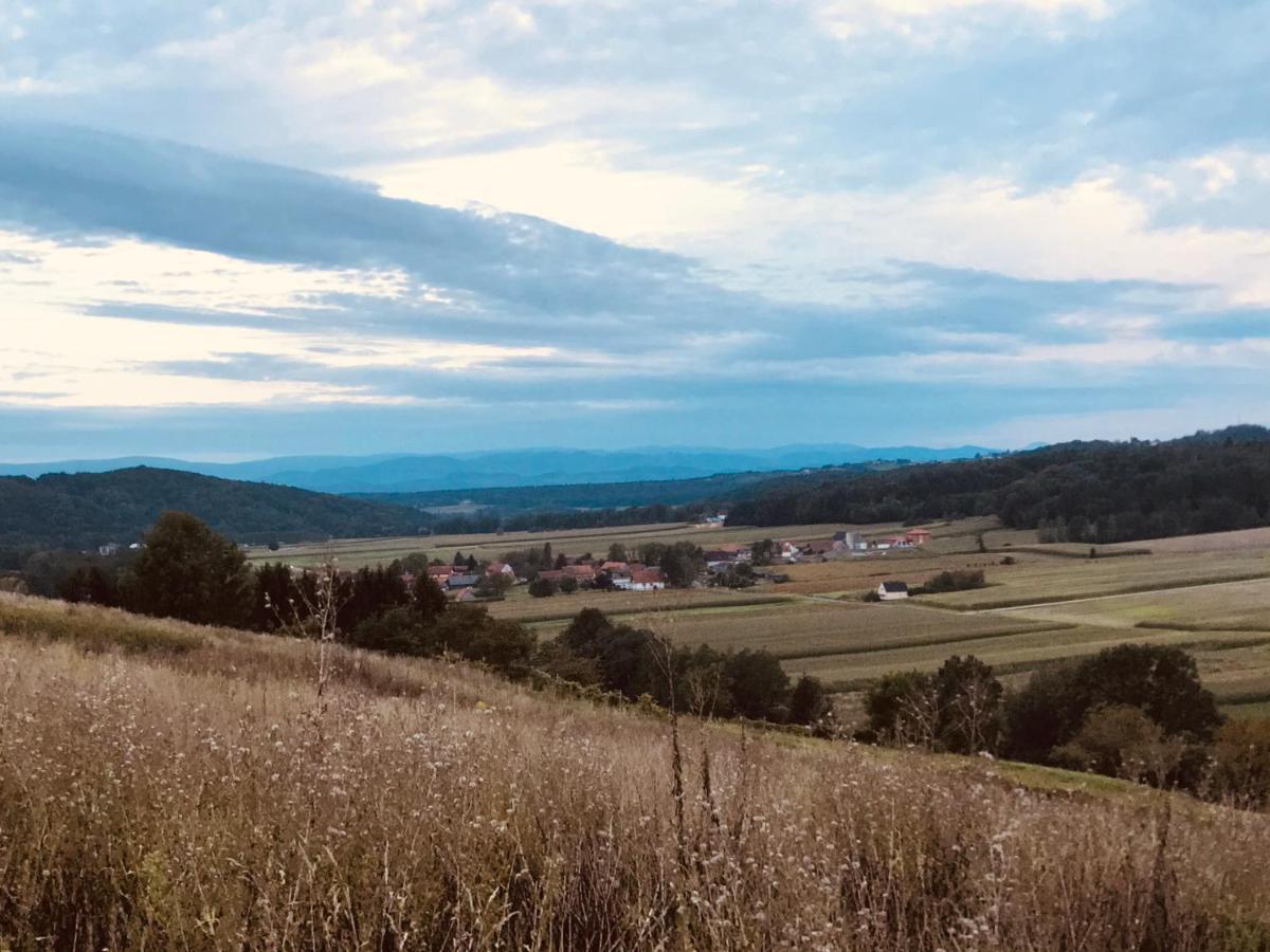 Landvilla Sinelia Premium Dietersdorf am Gnasbach Экстерьер фото