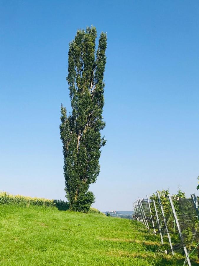 Landvilla Sinelia Premium Dietersdorf am Gnasbach Экстерьер фото